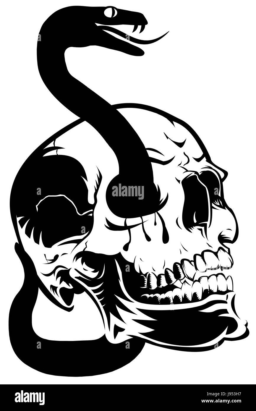 Augen Schadel Halloween Blut Schlange Poison Skelett Kopf Kunst Isoliert Stockfotografie Alamy