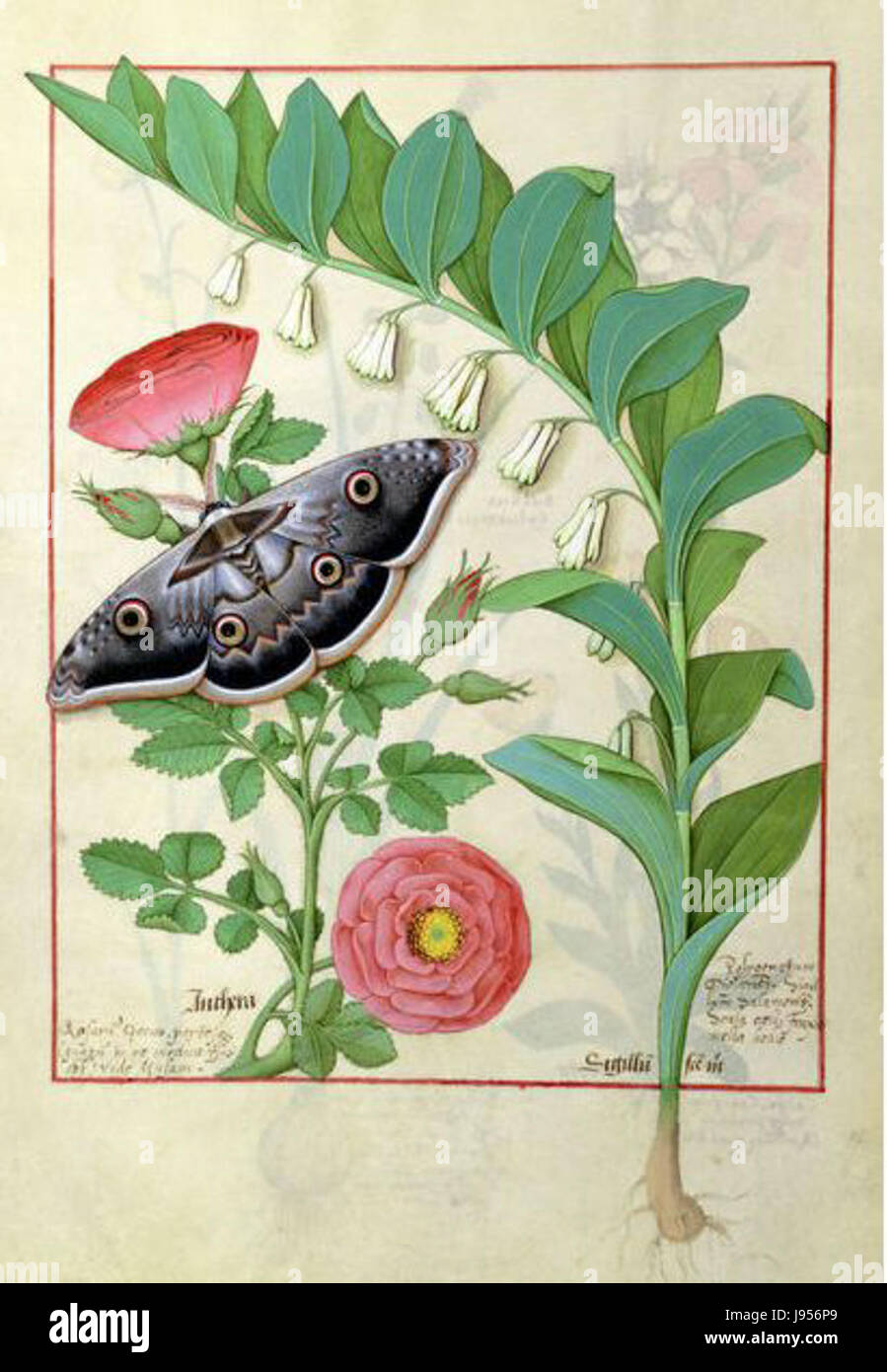 Robinet Testard war ein Künstler und seine Werke zeichnen sich durch eine Mischung aus mittelalterlichen und frühen Renaissance-Stilen aus. Seine Gemälde zeigten oft religiöse und höfische Themen. Stockfoto