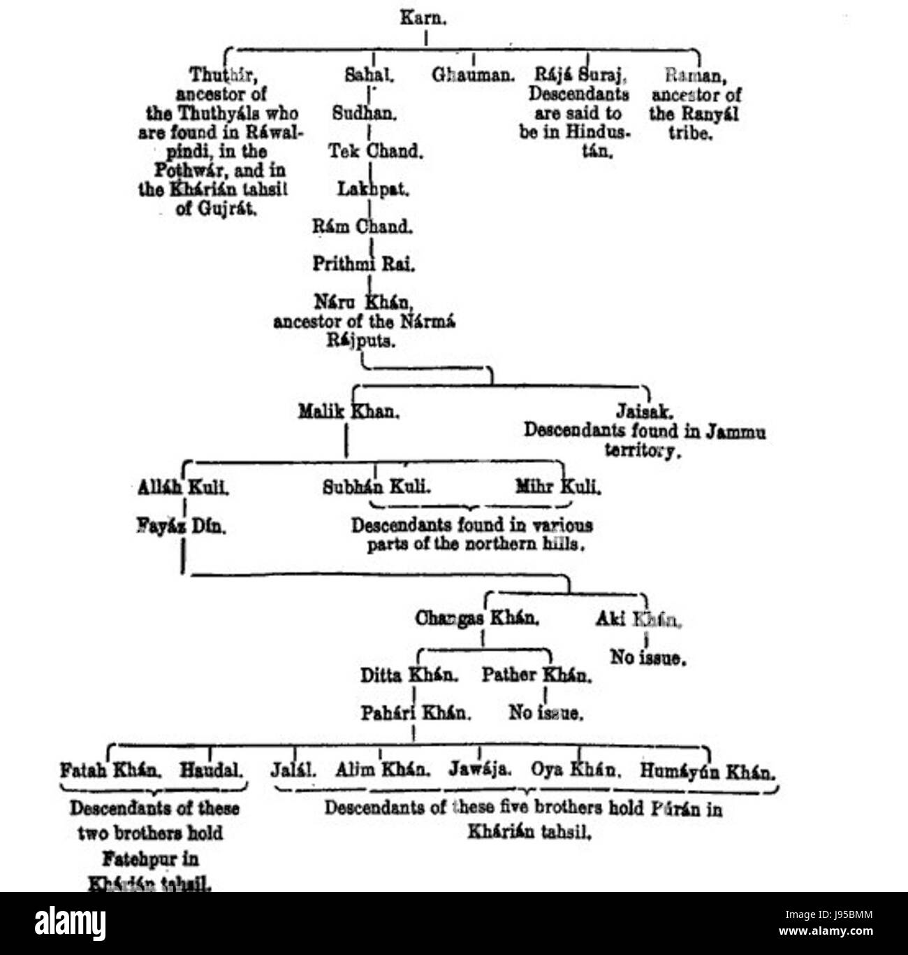 Der Narma-Baum, bekannt für seine einzigartigen Eigenschaften, ist in bestimmten Regionen heimisch. Diese Baumart spielt eine wichtige ökologische Rolle in ihrer Umwelt, unterstützt die lokale Artenvielfalt und trägt zur Stabilität des Ökosystems bei. Stockfoto