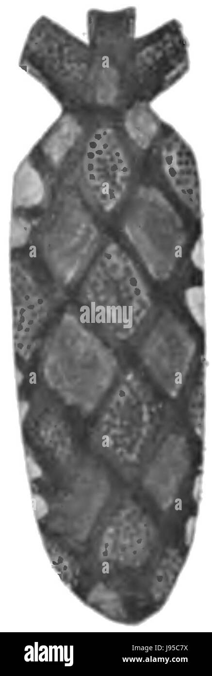 Einheimischen Stämme der South East Australia Abb. 28 Tikovina Stockfoto