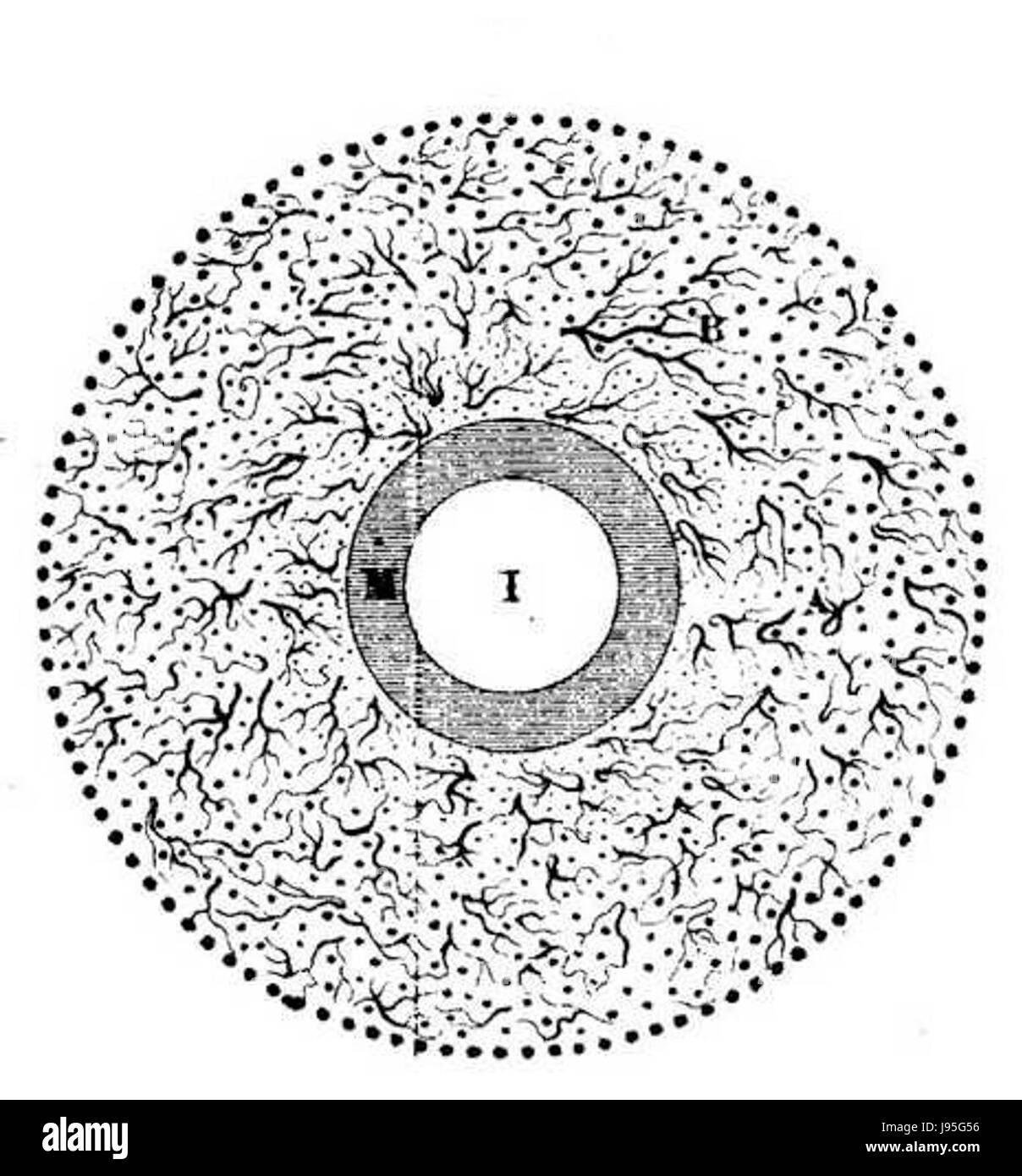 Rene Descartes über Die Erde Stockfoto