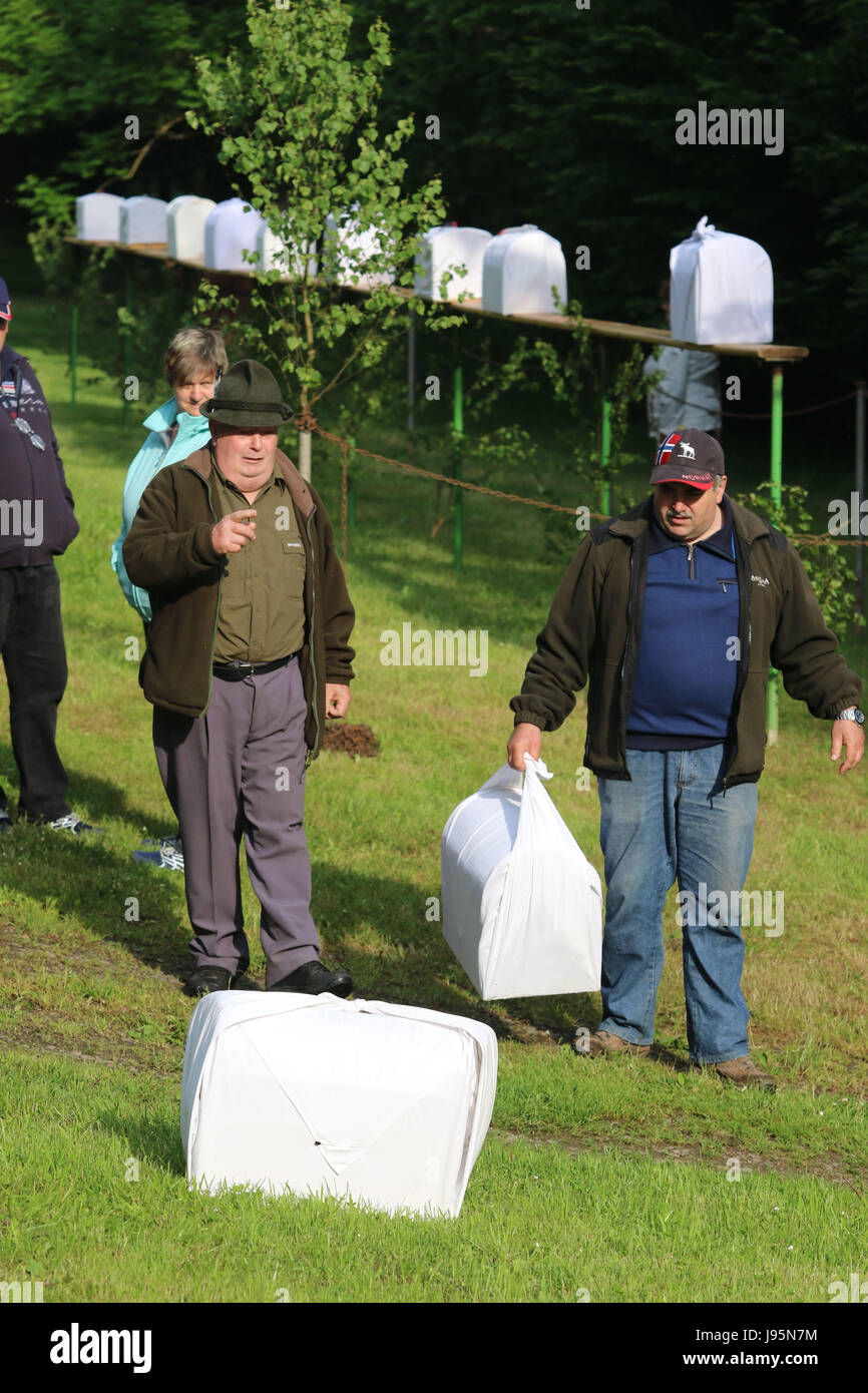 Benneckenstein, Deutschland. 5. Juni 2017. Besucher neben Vogelkäfige mit Buchfinken in Benneckenstein, Deutschland, 5. Juni 2017. Die Gegend im Harz ist eine 130 Jahre alte Buchfink Liedwettbewerb beherbergt. Jedes Jahr Richter beurteilen die Qualität der Vögel Lied. Foto: Matthias Bein/Dpa-Zentralbild/ZB/Dpa/Alamy Live News Stockfoto