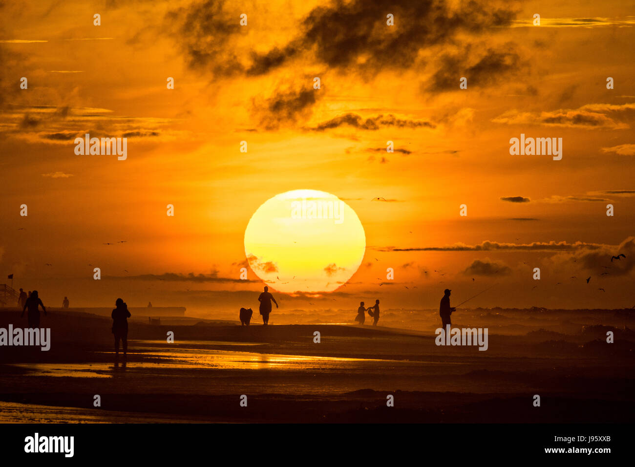 South Carolina, USA. 5. Juni 2017. Menschen am Strand, die Silhouette von der aufgehenden Sonne an einem bewölkten Morgen 5. Juni 2017 in Folly Beach, South Carolina. Folly Beach ist eine schrullige Strandgemeinde außerhalb Charleston Einheimischen als Edge of America bekannt. Bildnachweis: Planetpix/Alamy Live-Nachrichten Stockfoto