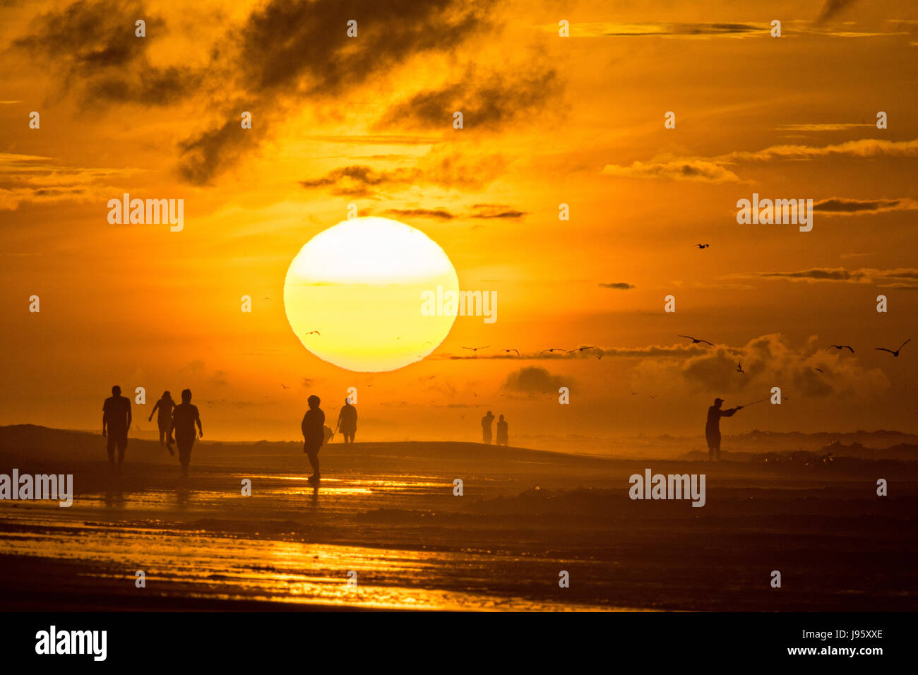 South Carolina, USA. 5. Juni 2017. Menschen am Strand, die Silhouette von der aufgehenden Sonne an einem bewölkten Morgen 5. Juni 2017 in Folly Beach, South Carolina. Folly Beach ist eine schrullige Strandgemeinde außerhalb Charleston Einheimischen als Edge of America bekannt. Bildnachweis: Planetpix/Alamy Live-Nachrichten Stockfoto