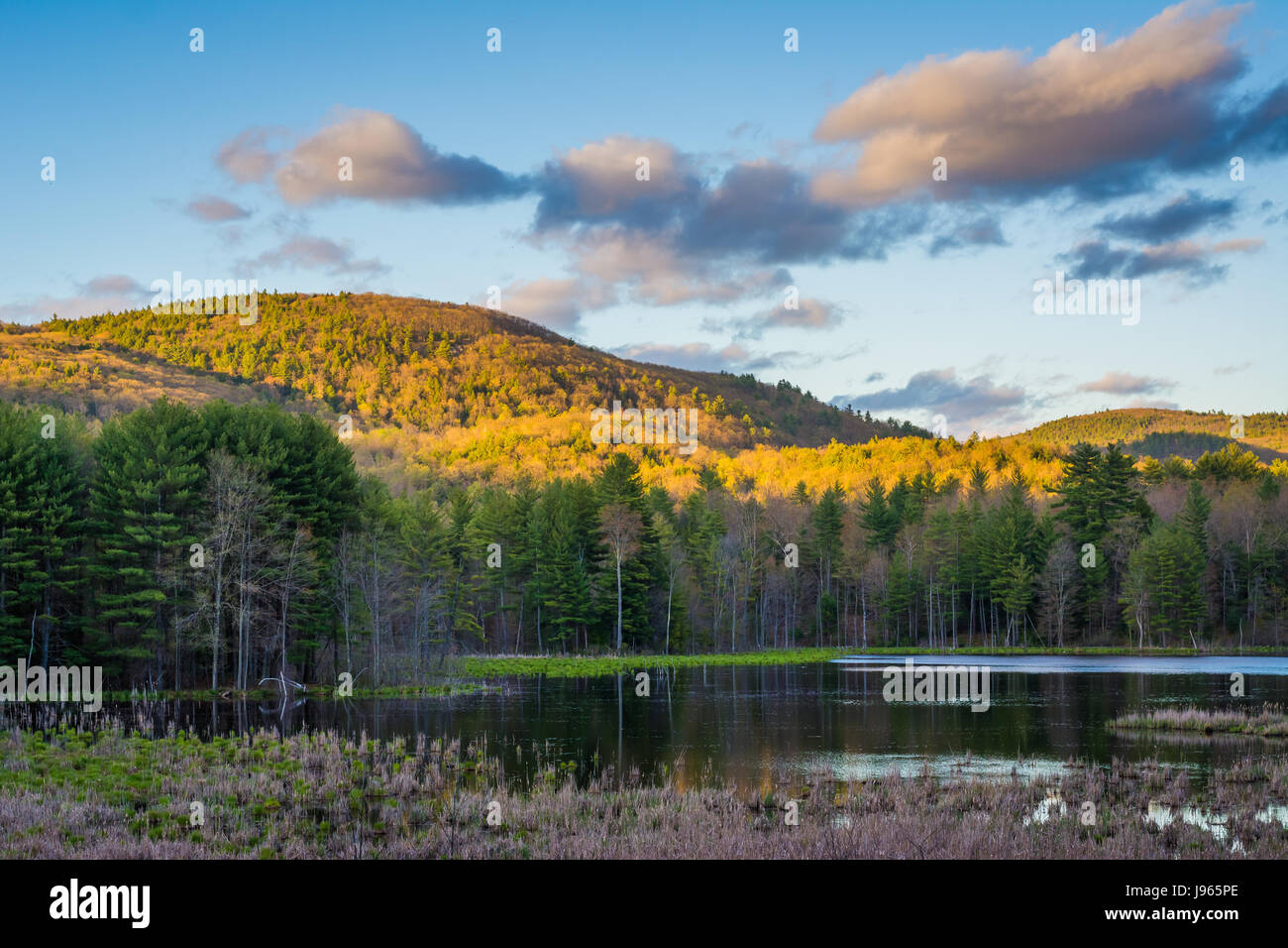 Bergen und einem See in der Nähe von Brattleboro, Vermont. Stockfoto