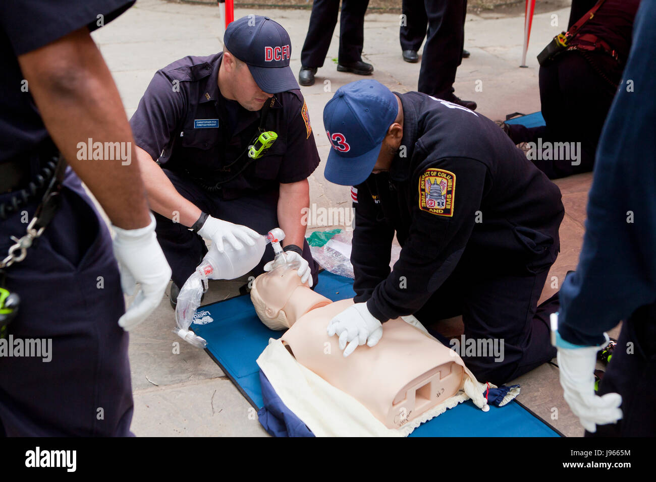 Feuer und EMS Techniker (EMT, Sanitäter) der HLW auf CPR Manikin (HLW-Schulungen) - Washington, DC, USA Stockfoto