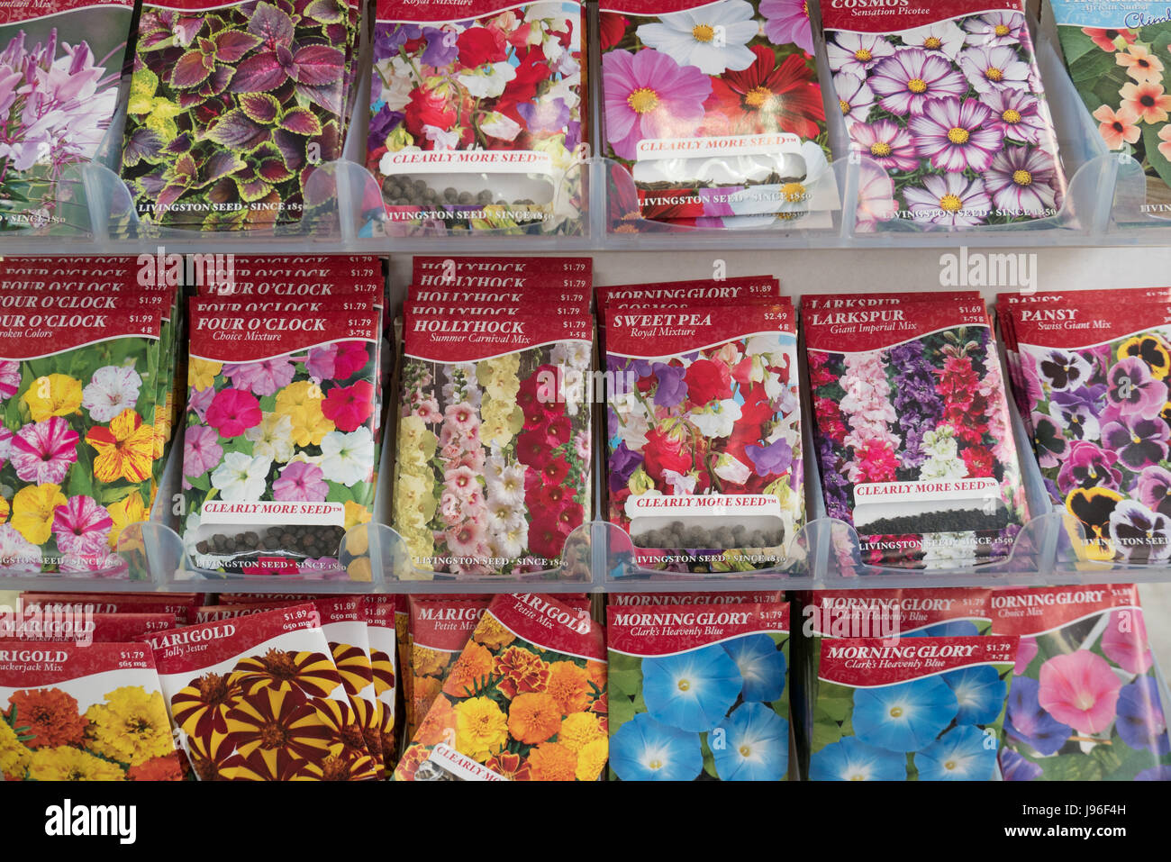 Kleine Pakete von Blumensamen für Frühling Gartenarbeit Stockfoto