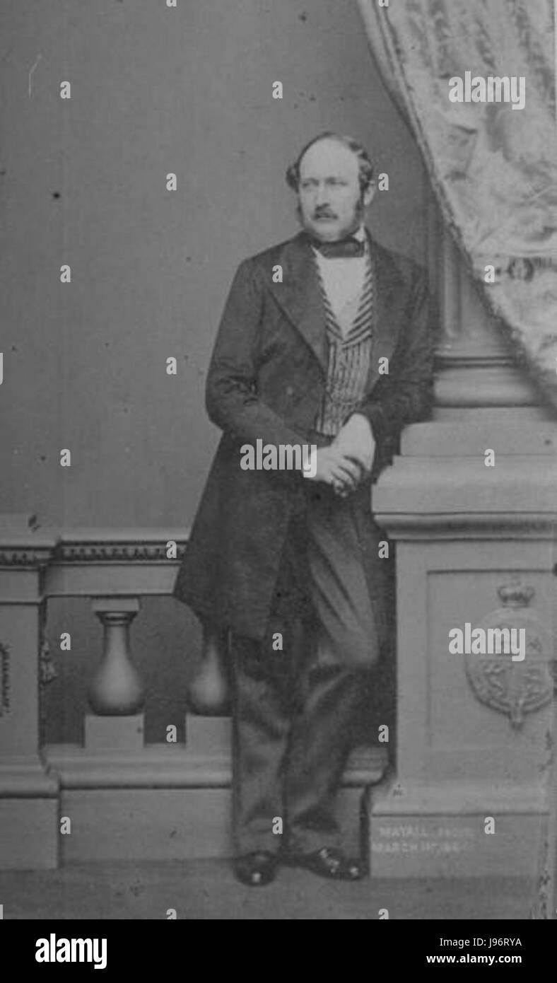 Prinz Albert 1861 Stockfoto