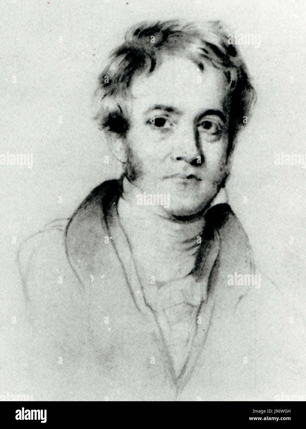 Sir John Herschel, durch Henry William Pickersgill (Detail) Stockfoto