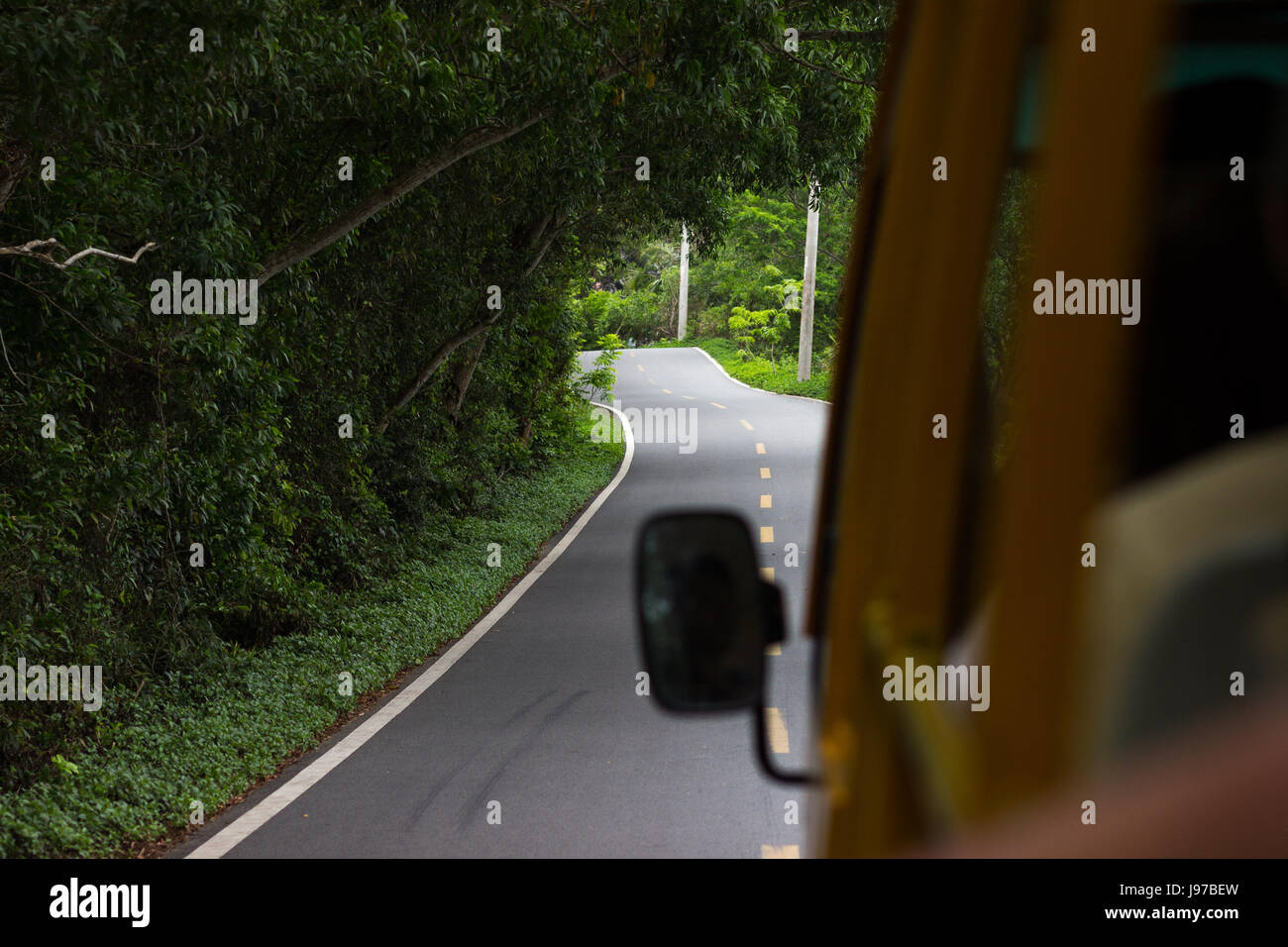 Eine kurvenreiche Asphaltstraße in einem dichten Regenwald mit Lumen durch die Bäume, die durch die Sonnenlicht den Blick aus dem Busfenster dringt Stockfoto