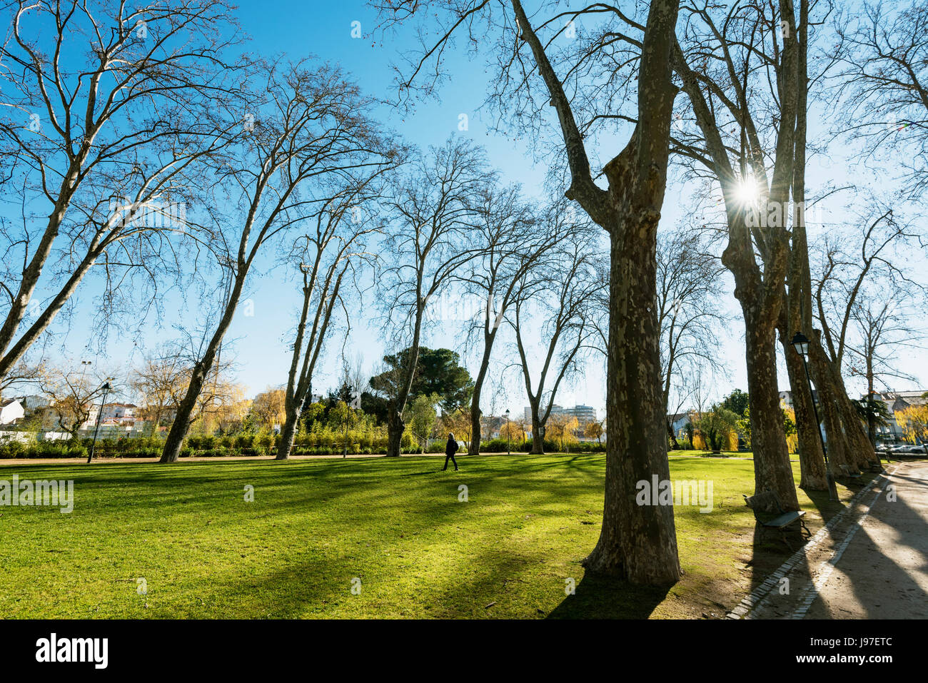 Mouchao Park im Winter. Eine Oase der Ruhe mitten in der historischen Stadt Tomar. Portugal (MR) Stockfoto