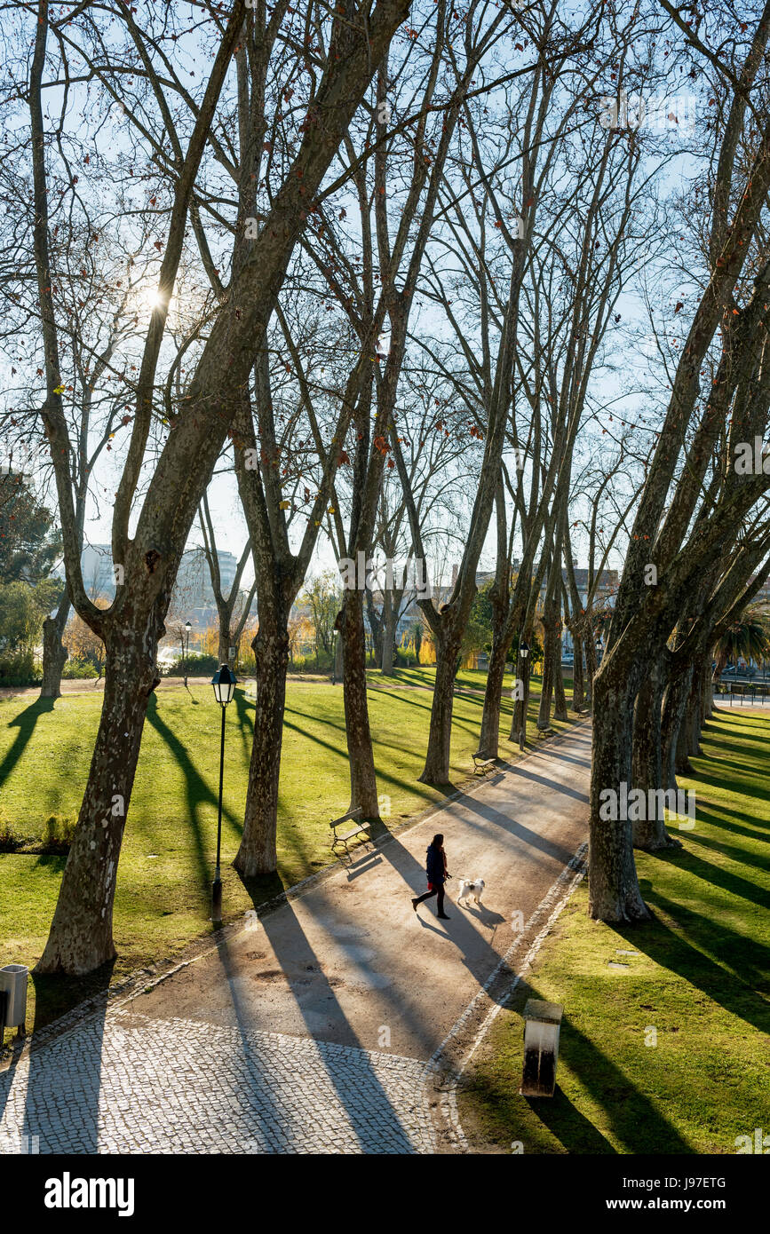 Mouchao Park im Winter. Eine Oase der Ruhe mitten in der historischen Stadt Tomar. Portugal Stockfoto