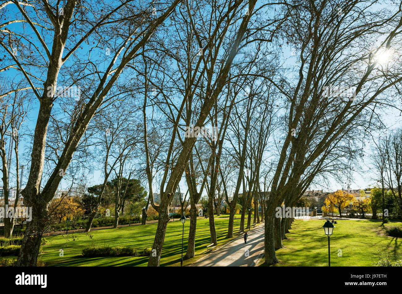 Mouchao Park im Winter. Eine Oase der Ruhe mitten in der historischen Stadt Tomar. Portugal Stockfoto