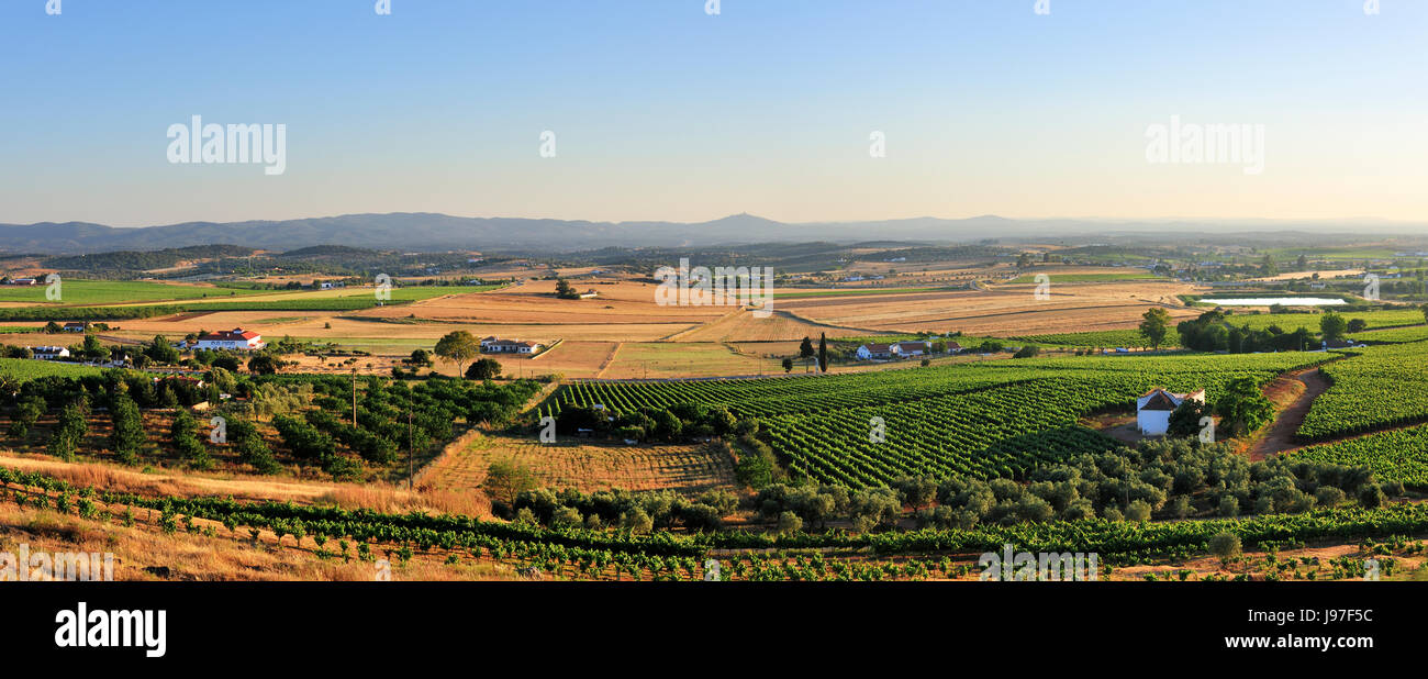 Die weiten Ebenen des Alentejo, die von Mauern umgebene Stadt Estremoz gesehen. Portugal Stockfoto