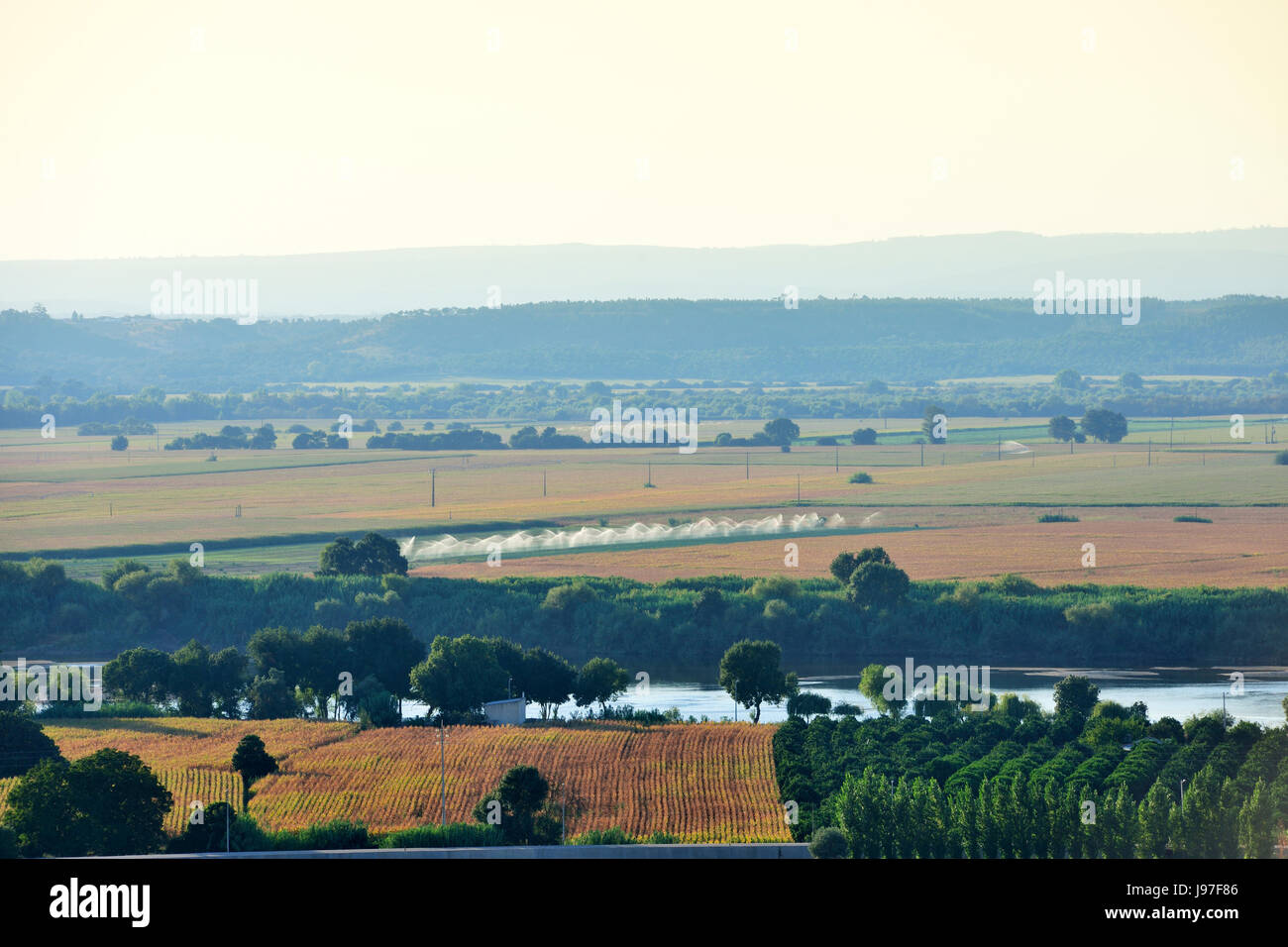 Die weiten fruchtbaren Ebenen des Ribatejo (Lezíria) bei Chamusca. Portugal Stockfoto