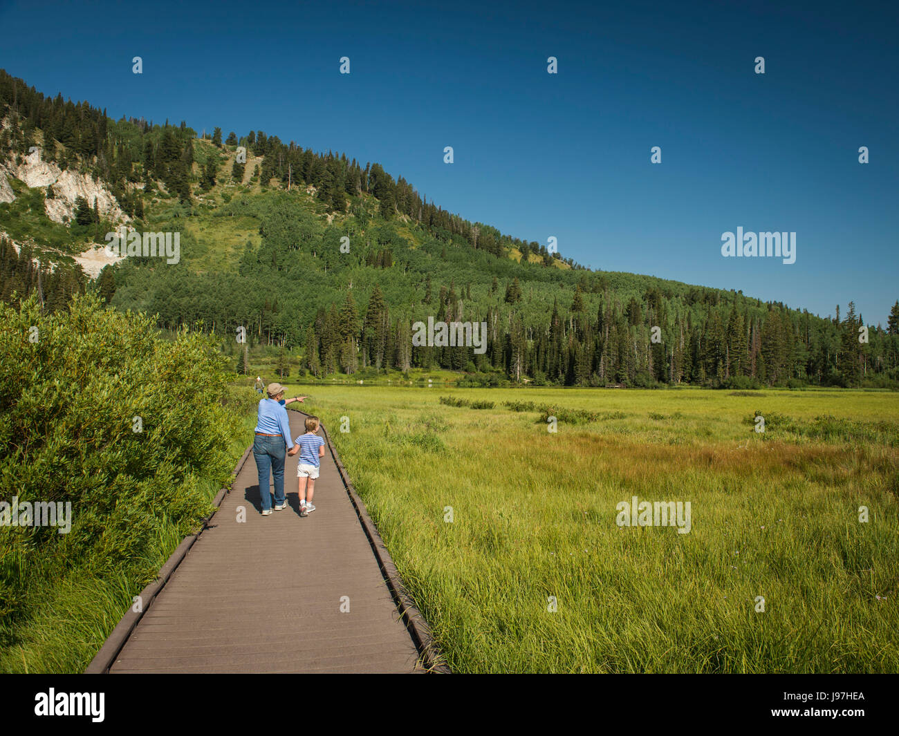 USA, Lake City, Utah Mädchen (4-5) mit Großmutter zu Fuß am Boardwalk durch Feuchtgebiet Stockfoto