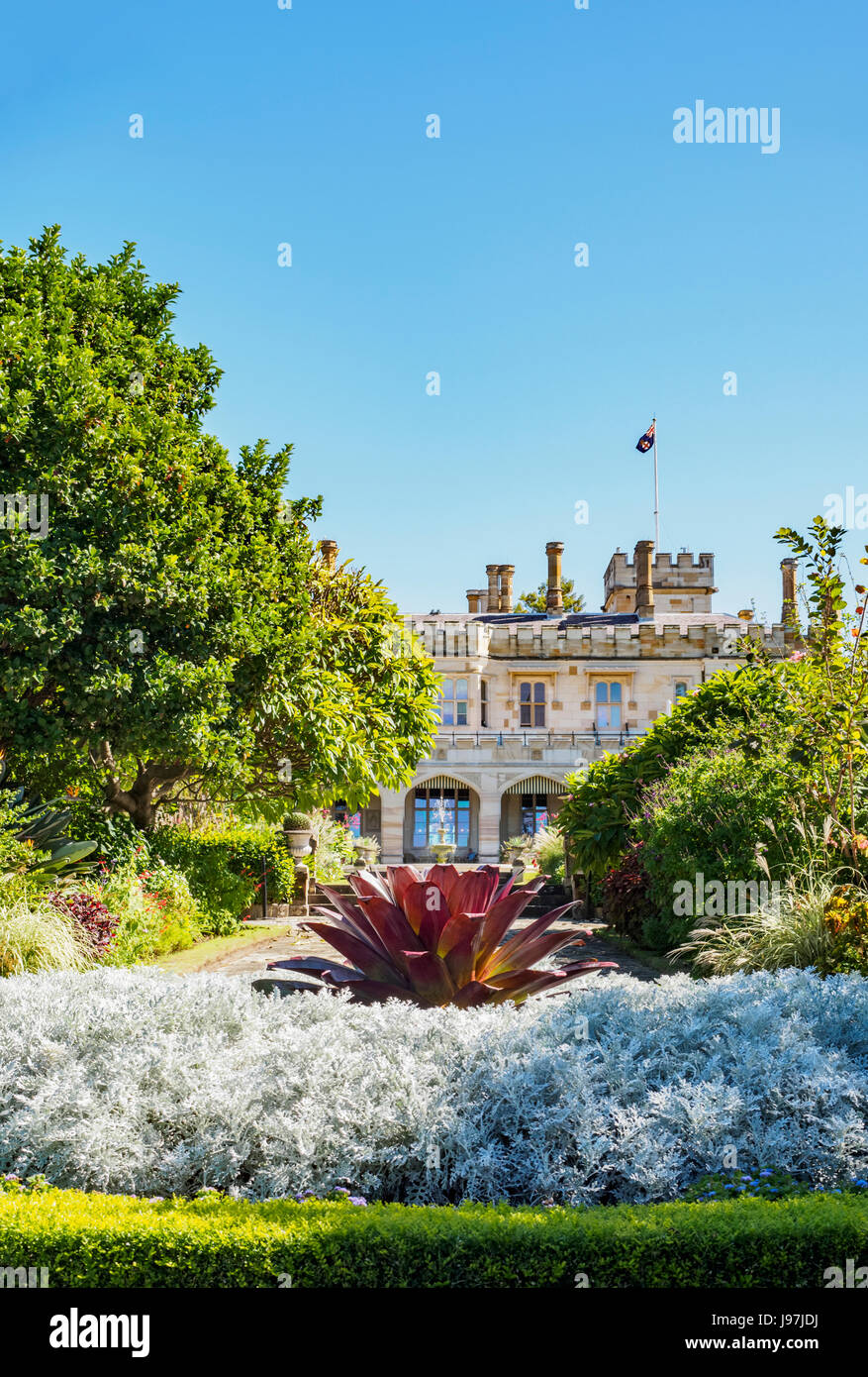 Australien, New South Wales, Sydney, Ziergarten mit Gebäude im Hintergrund Stockfoto