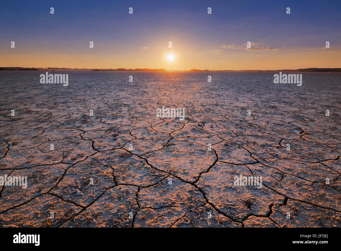 Ukraine, Dnepropetrovsk Region, Novomoskovskiy Bezirk, See Soleniy Lyman, Wüste bei Sonnenuntergang Stockfoto