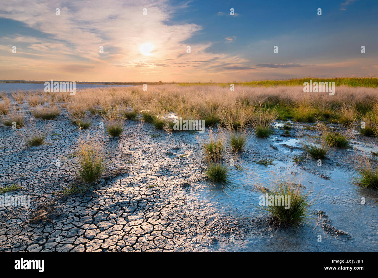 Ukraine, Dnepropetrovsk Region, Novomoskovskiy Bezirk, See Soleniy Lyman, Wüste bei Sonnenuntergang Stockfoto