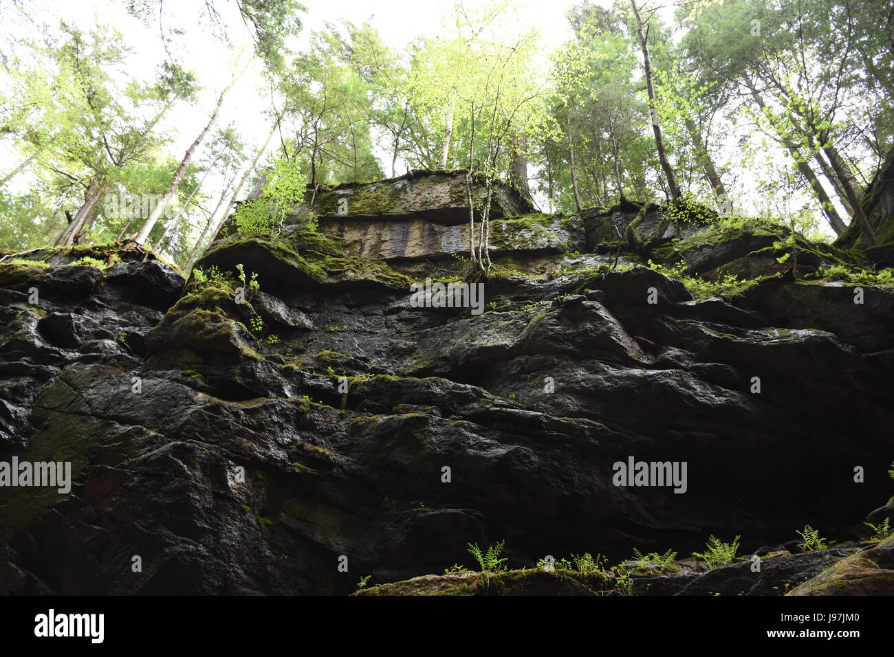 Blick nach oben aus der Flume Gorge in Franconia Notch State Park, New-Hampshire Stockfoto