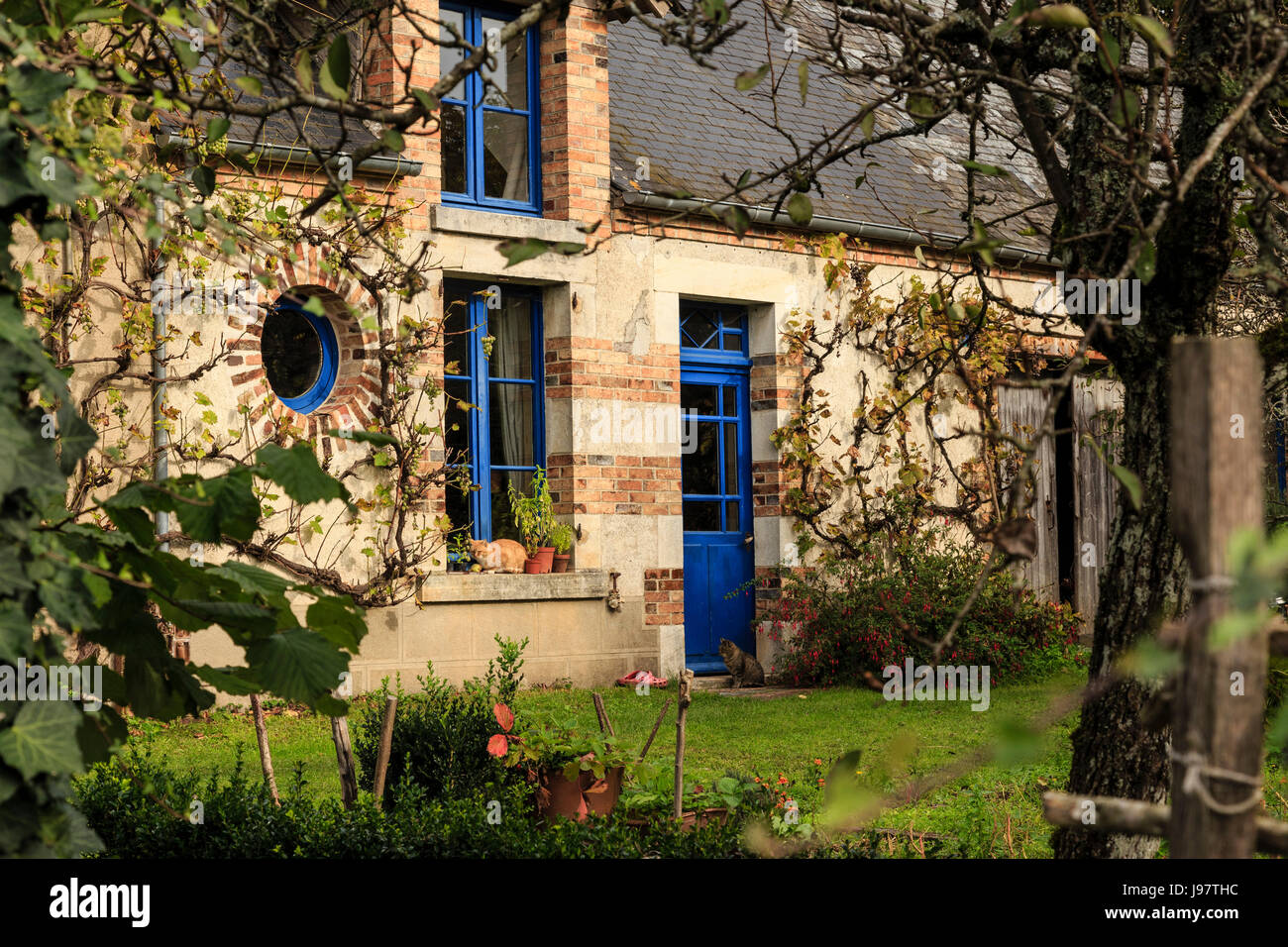 Frankreich, Cher, La Borne, Haus und Katzen im Dorf Stockfoto