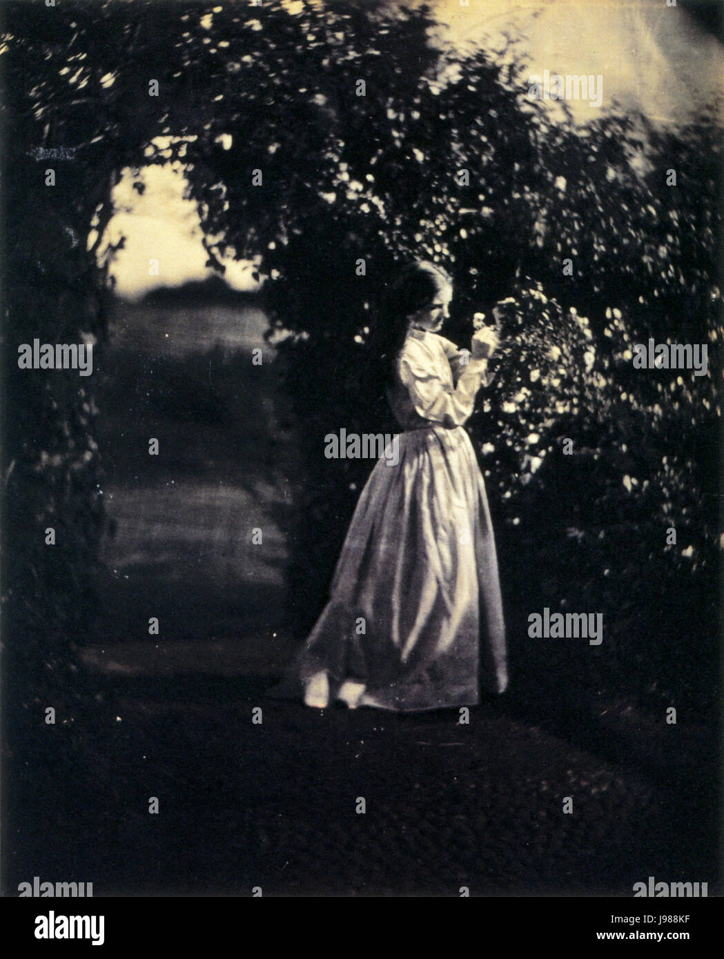 Tochter des Gärtners, durch Julia Margaret Cameron Stockfotografie Alamy