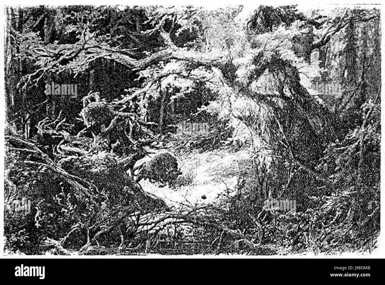 Pan Tadeusz Ksiega 11 1 Stockfoto