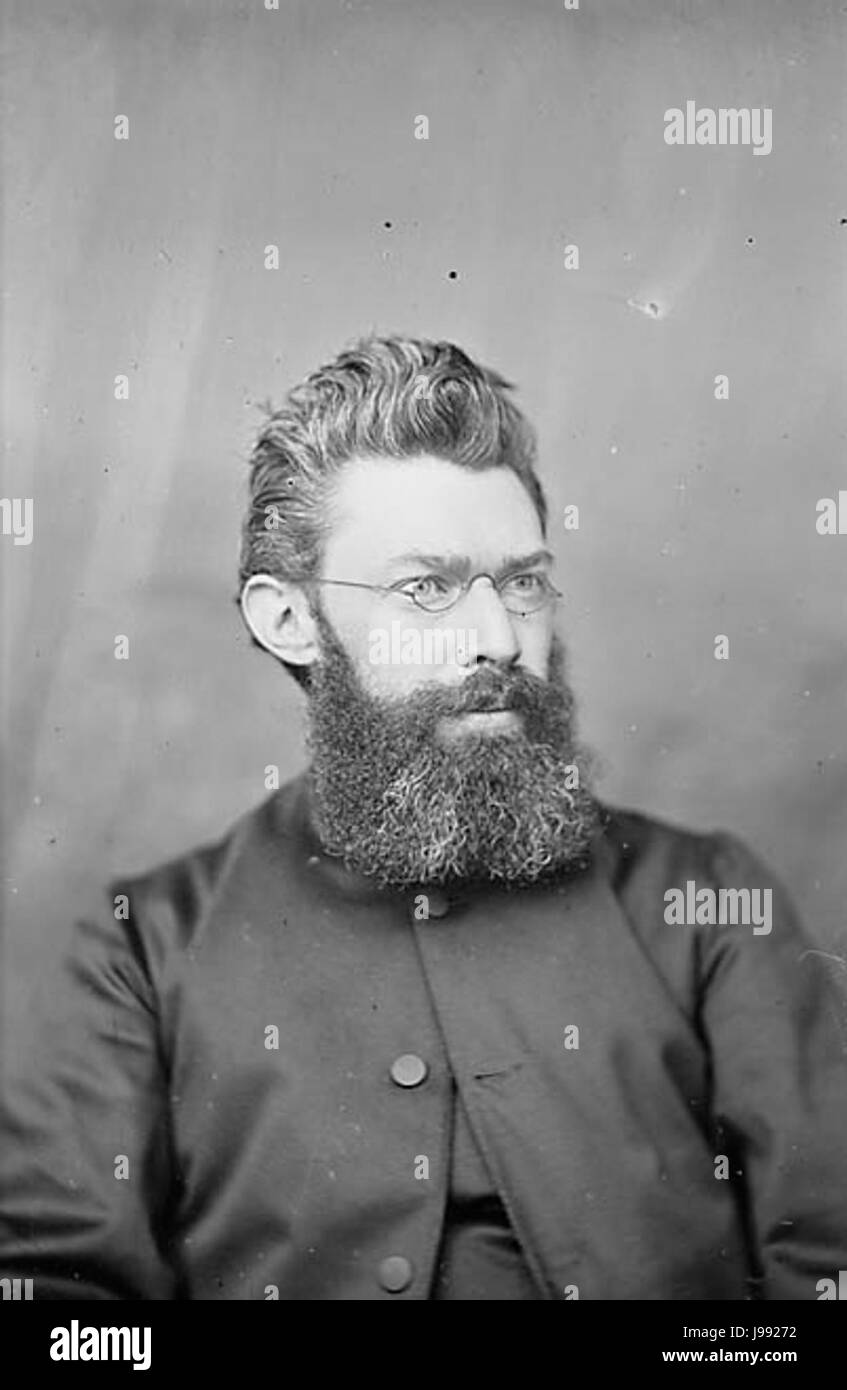 Reverend David Jones (Druisyn, 1840 1902) NLW3363086 Stockfoto