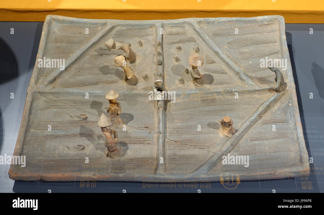 Keramik-Modell von Reisfeld, östliche Han-Dynastie, von M16, Guigang, Panyu, Guangzhou Hong Kong Museum of History DSC00824 Stockfoto