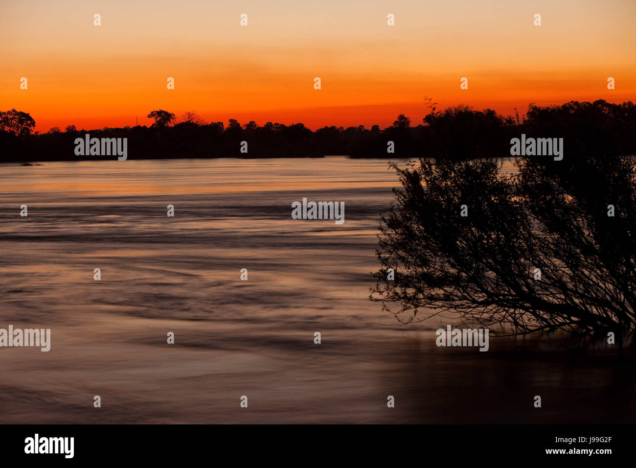 Bewegung, Verschiebung, Bewegung, Bewegung, Baum, Strömung, Horizont, Sonnenuntergang, Afrika, Stockfoto