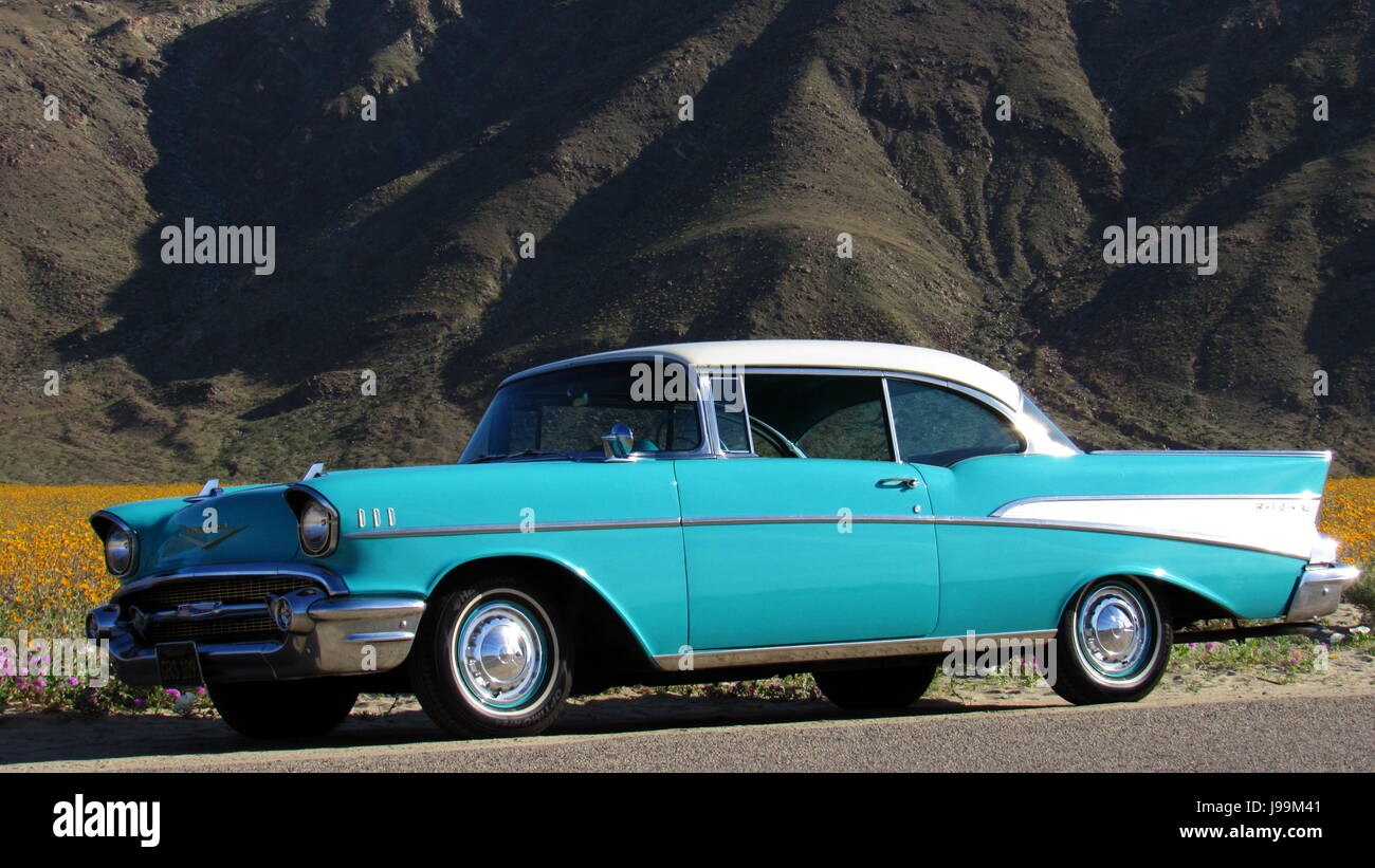 Türkis/weiß 1957 Chevy Bel Air 2-türige Hardtop Oldtimer stehen in einem Meer von Wildblumen - Superbloom Anza-Borrego Desert State Park Stockfoto