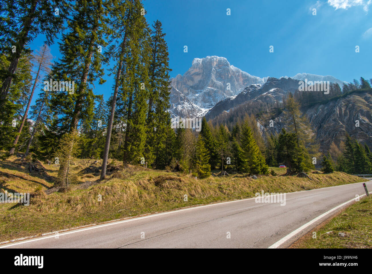 Blick auf die italienischen Alpen aus die kurvenreiche Bergstrasse, die durch den Wald und bis Rolle Pass führt. Stockfoto