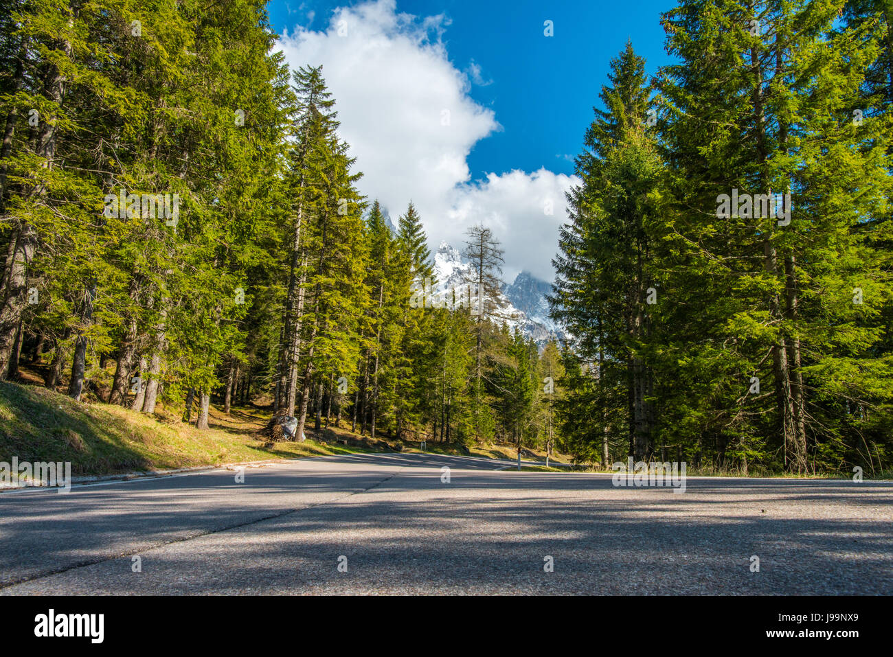 Pale di San Martino Bergen, in der italienischen Alpen sind der Hintergrund dieser Szene aus dem Waldweg zum Bergpass, Rolle übernommen. Stockfoto