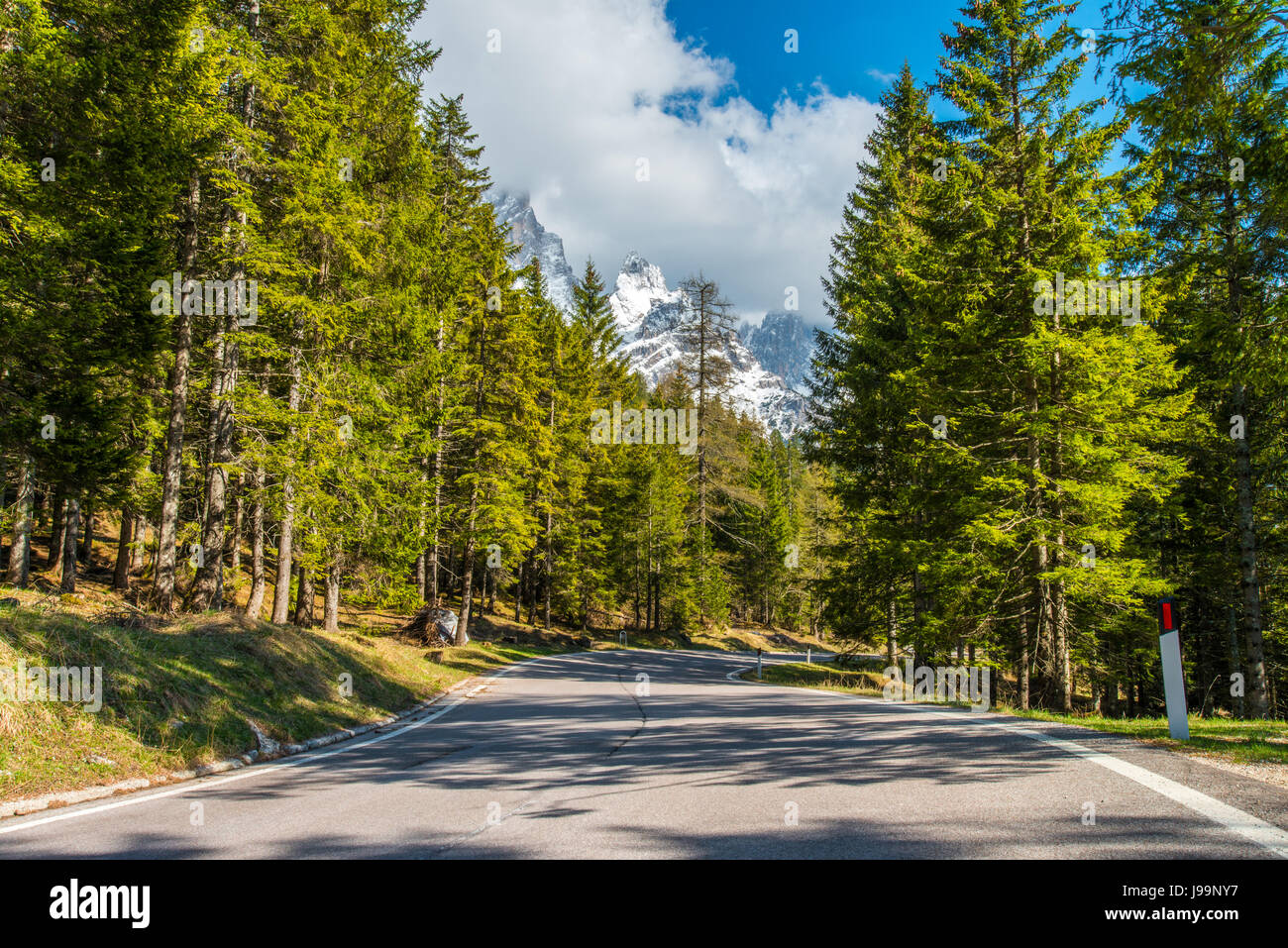 Pale di San Martino Bergen, in der italienischen Alpen sind der Hintergrund dieser Szene aus dem Waldweg zum Bergpass, Rolle übernommen. Stockfoto