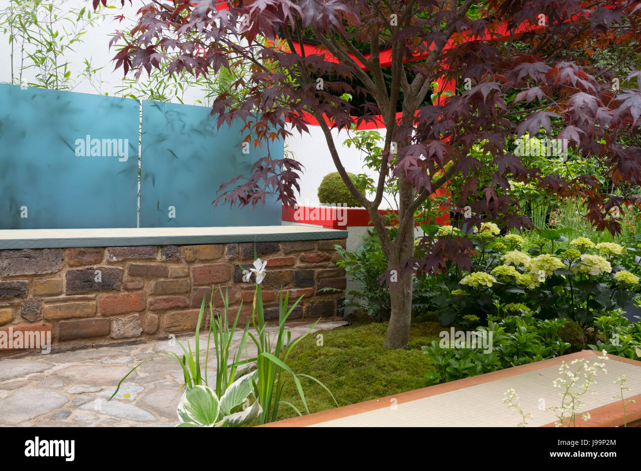 Acer Palmatum 'Fireglow' und Hydrangea um eine Sitzecke im Garten Hagakure-Hidden verlässt in der Kategorie Handwerker Gärten auf der RHS Chelsea F Stockfoto