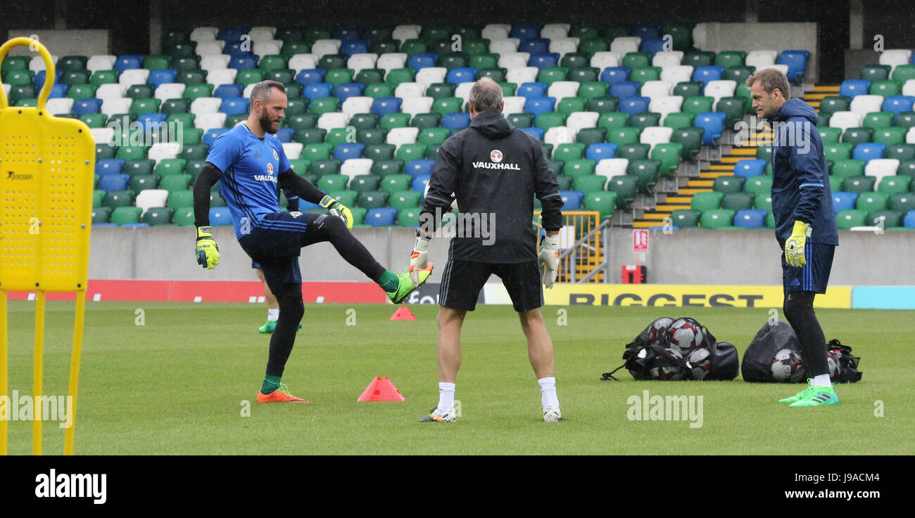 Belfast, UK. 1. Juni 2017. Nationale Fußball-Stadion im Windsor Park, Belfast. Northern Ireland Torhüter Trainiing vor morgen Abend Spiel gegen Neuseeland. (L R) Alan Mannus, Maik Taylor und Michael McGovern... Bildnachweis: David Hunter/Alamy Live-Nachrichten Stockfoto