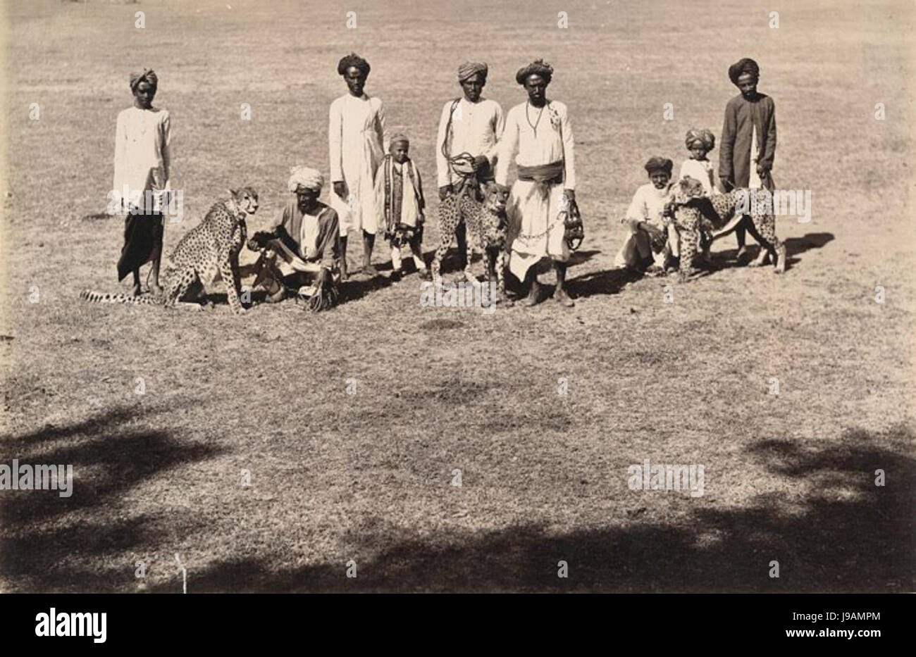 Ricke Geparden mit Handler in Baroda in den 1890er Jahren Stockfoto