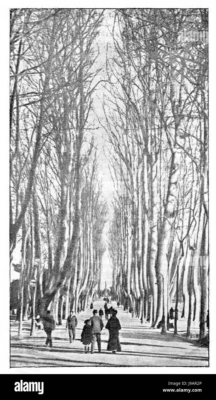 Perpignan Promenade des Platanes En 1898 Stockfoto