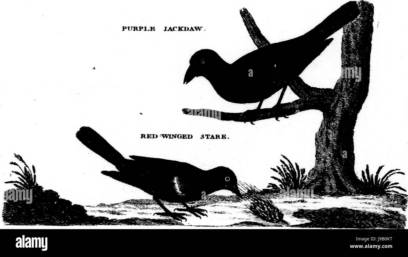 Reisen in Nordamerika (Mikroform) mit seiner Naturgeschichte und eine umständliche Darstellung der seiner Plantagen und Landwirtschaft im allgemeinen kirchlichen, Zivil- und Handelssachen (20635925671) Stockfoto