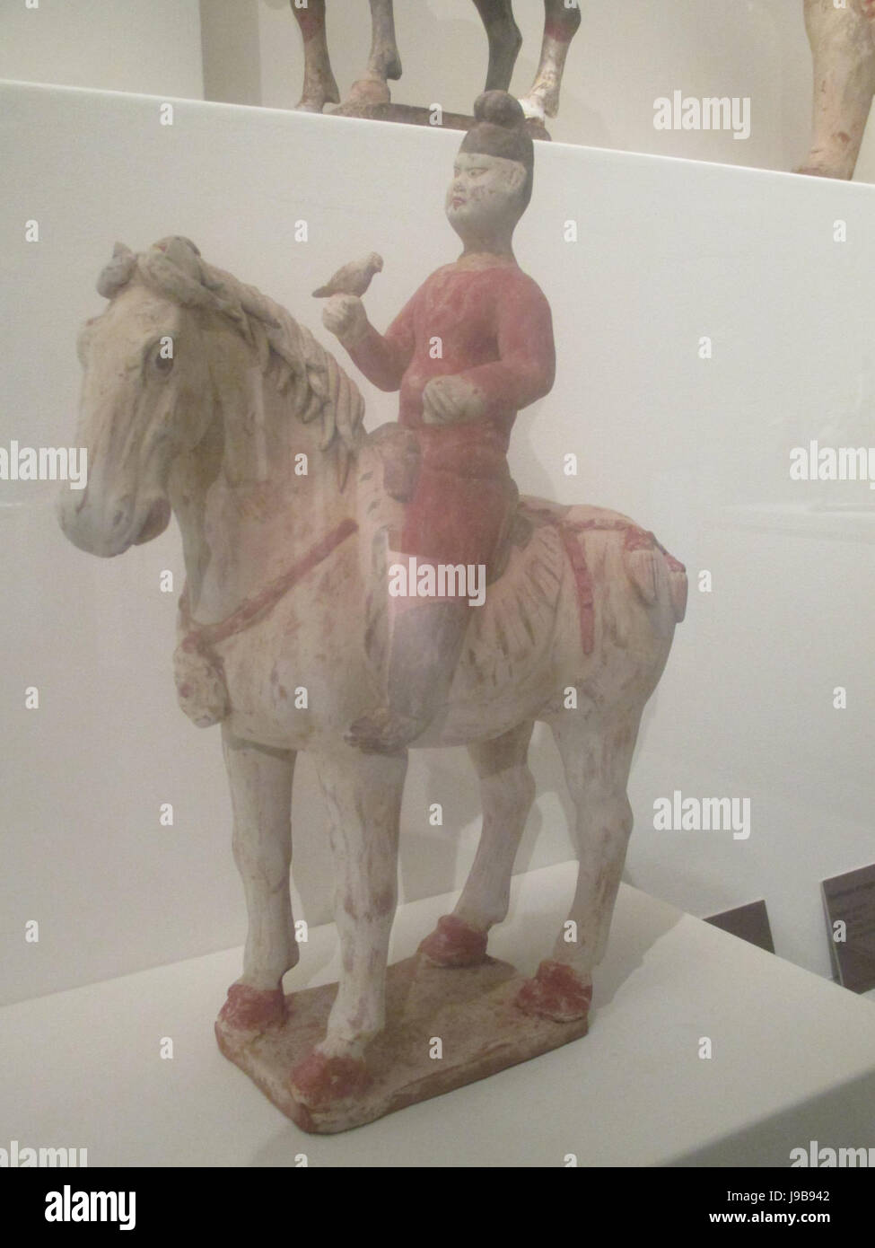 Tang cavalier oiseleur Stockfoto