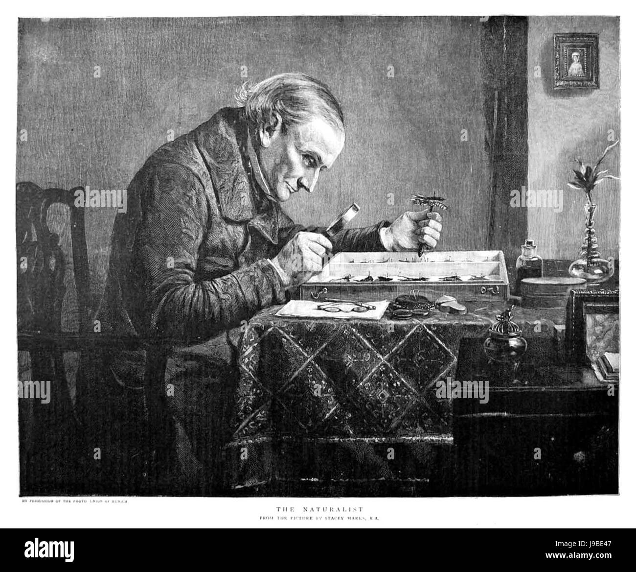 Die naturalistischen Marken Stockfoto