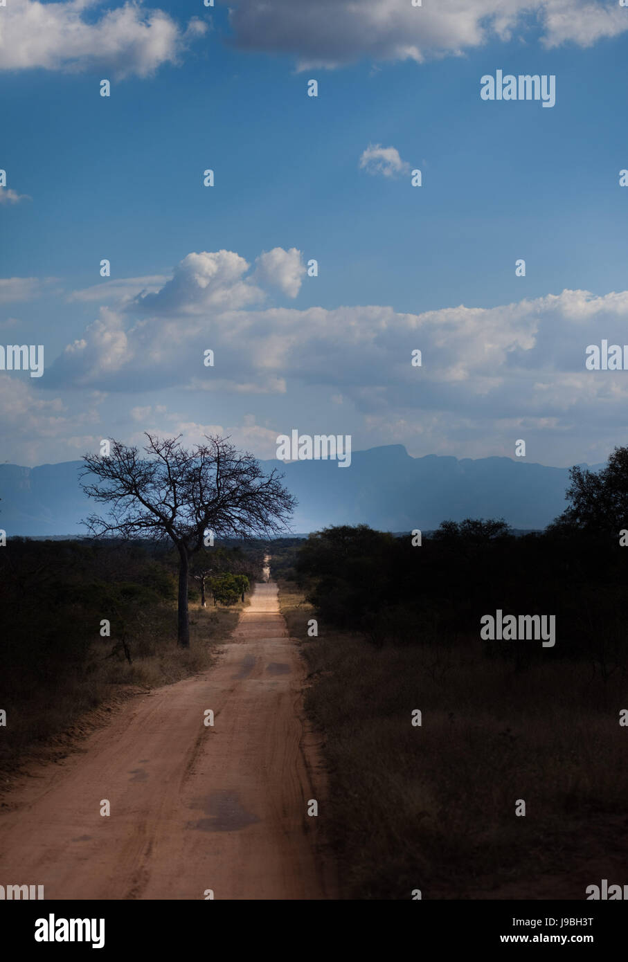 blau, Reisen, Öko, Umwelt, Umwelt, Farbe, Baum, Bäume, Horizont, Park, Stockfoto