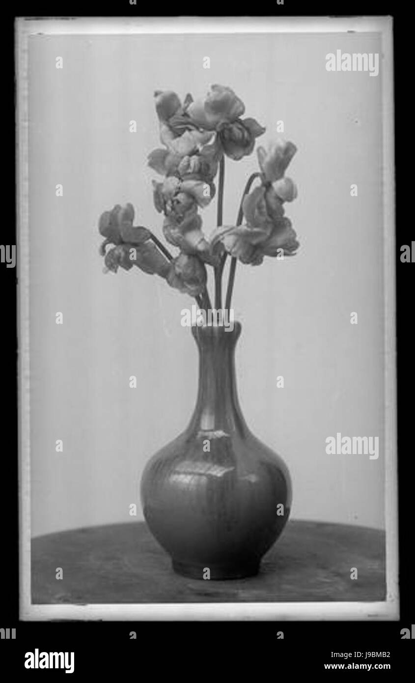 Nature Morte Bouquet de Fleurs 51Fi180 Fonds Trutat Stockfoto
