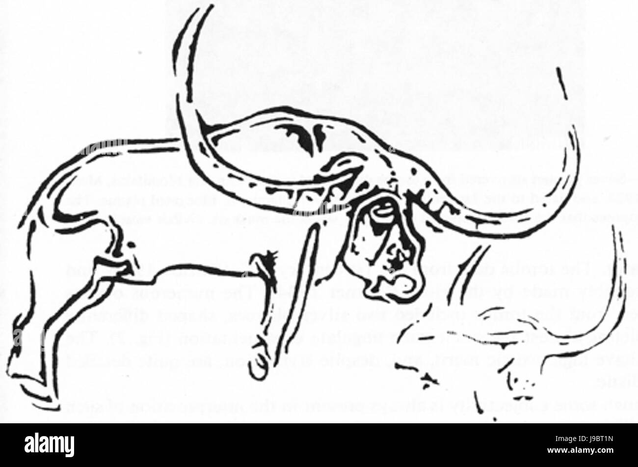 Pelorovis Antiquus Felskunst Stockfoto