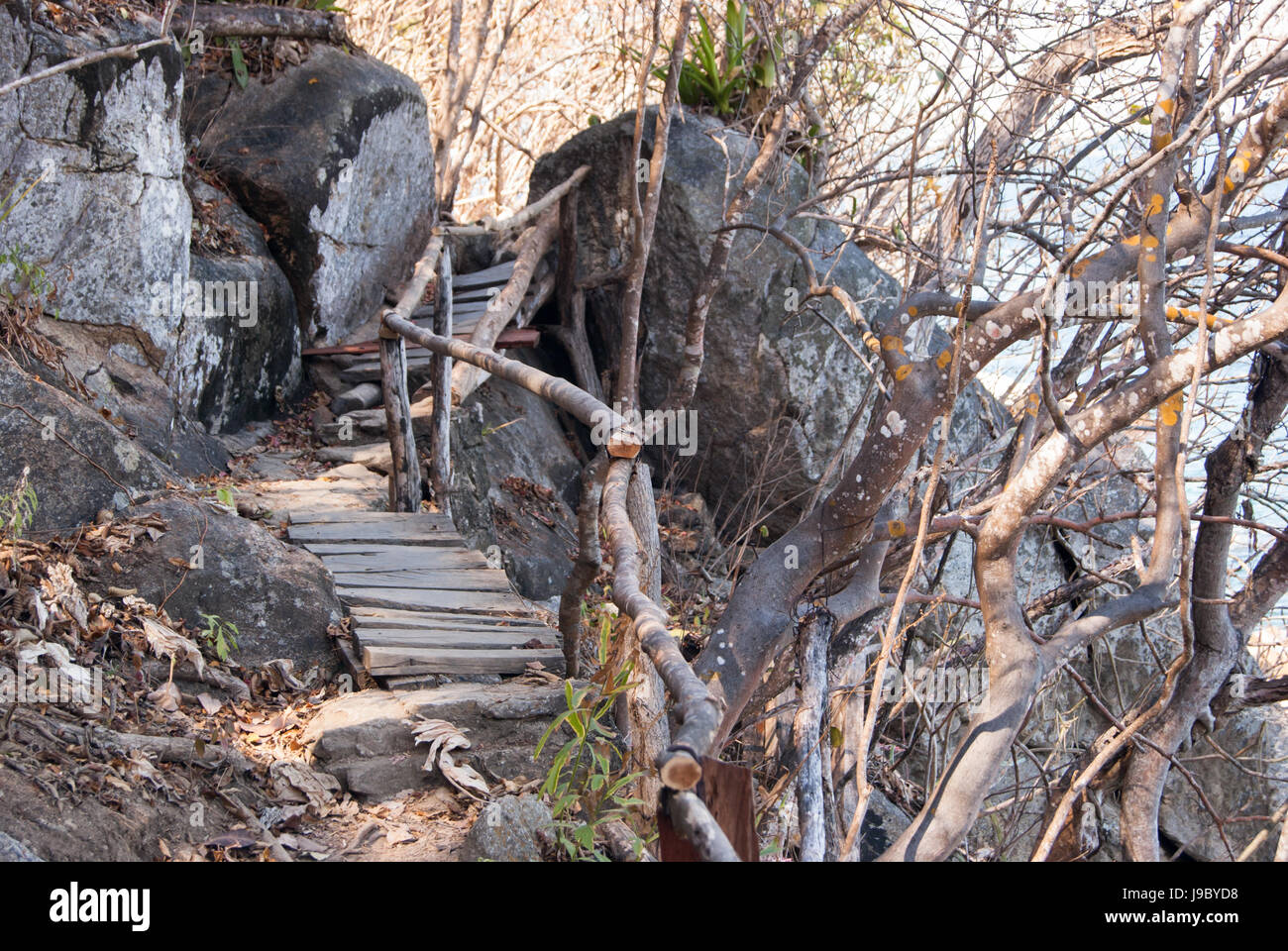 Ein robustes Wanderweg. Groben künstlichen Holzstufen einfacher gehen und eine grobe Holzgeländer Bildschirmschoner zu machen. Stockfoto