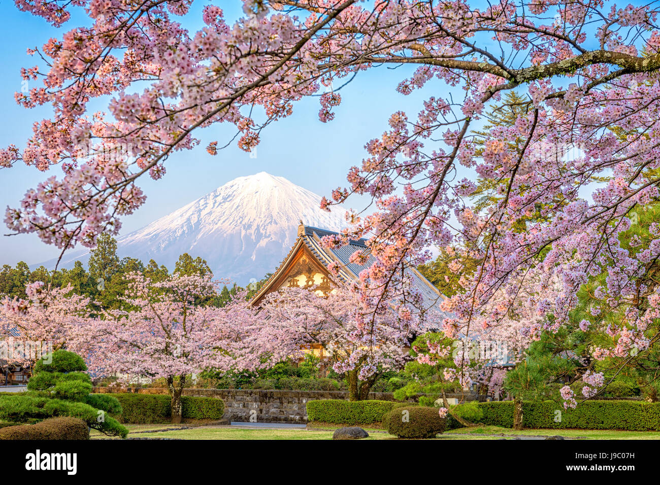 Shizuoka, Japan mit Mt. Fuji im Frühjahr. Stockfoto