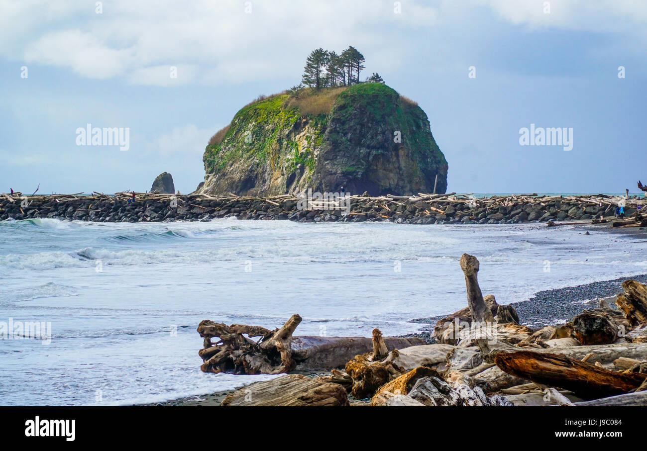 Schöne Küste von La Push in Clallam County Washington - Gabeln - WASHINGTON Stockfoto