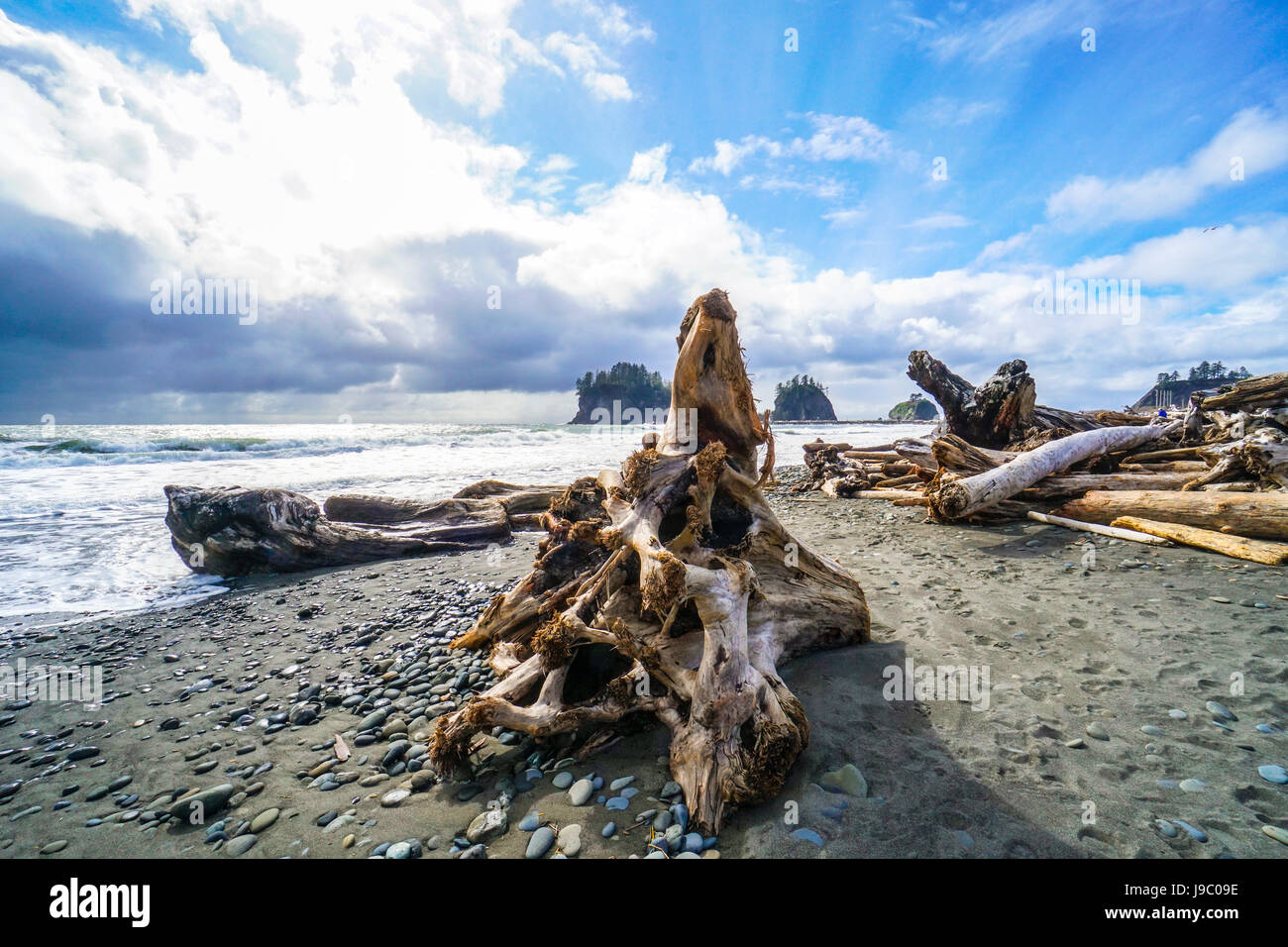 Schöne Küste von La Push in Clallam County Washington - Gabeln - WASHINGTON Stockfoto