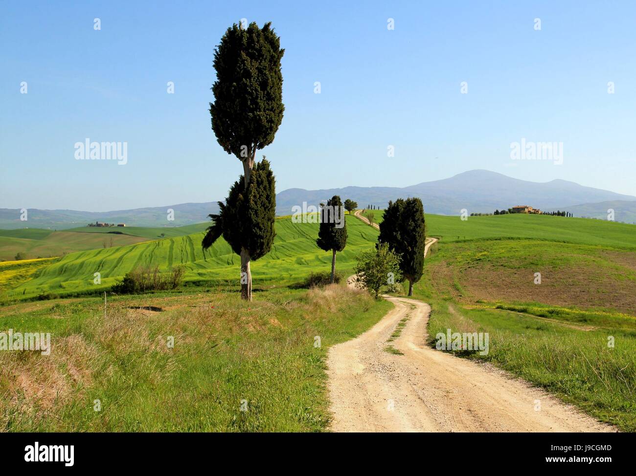 terrapille Stockfoto