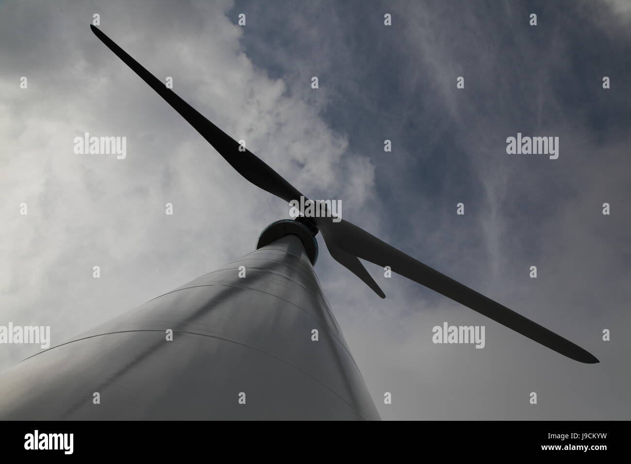 Global Wind Day 15 Juni Stockfoto